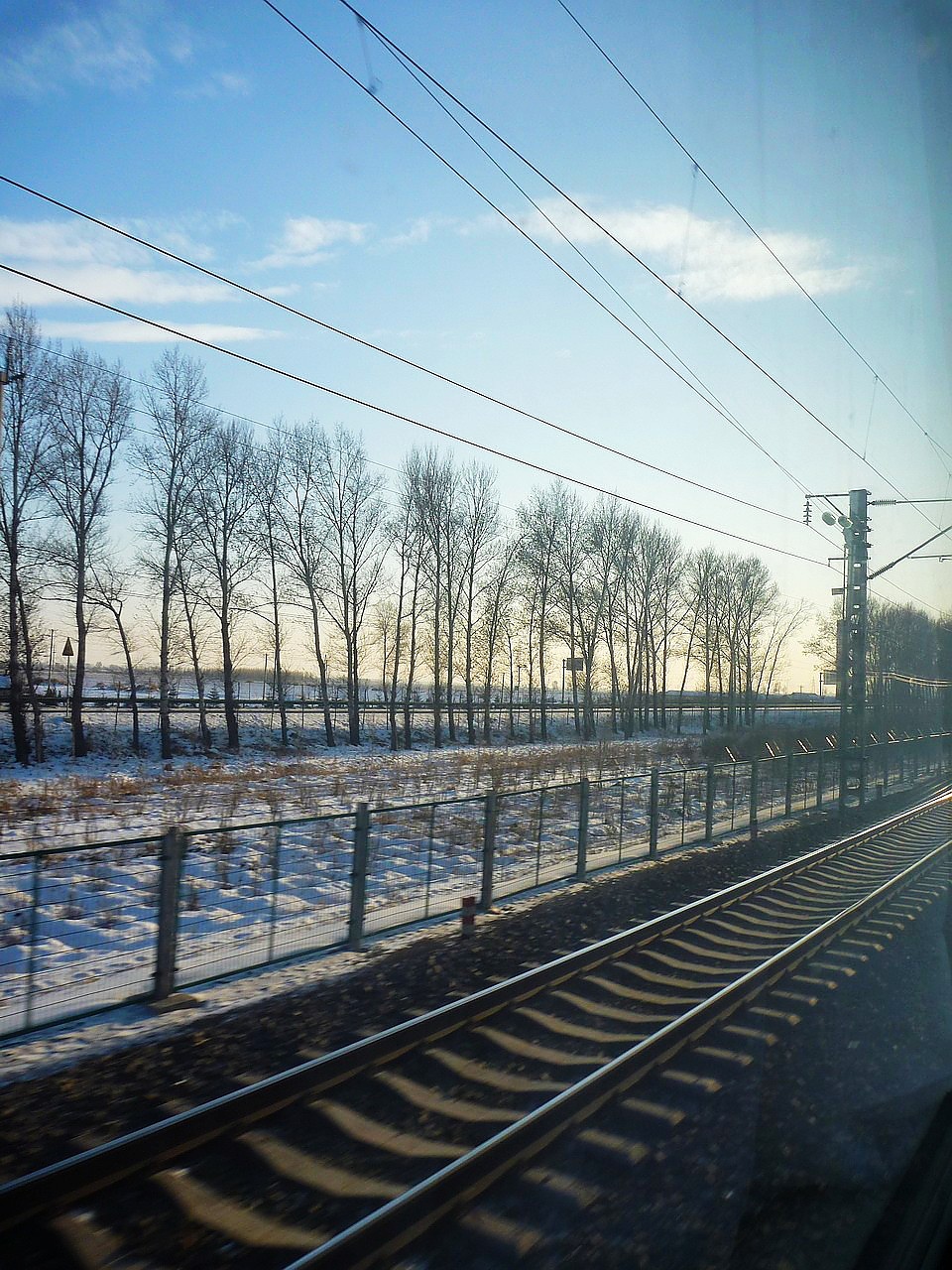 P1010401.JPG P1010401.JPG