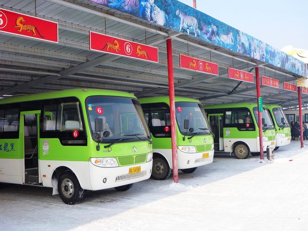 虎園基本上都是要搭乘遊園車觀虎