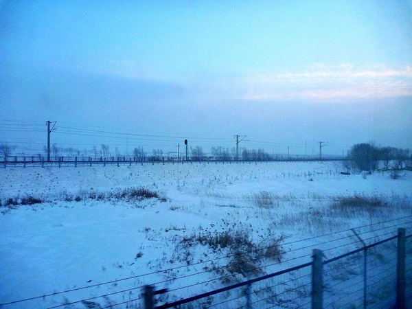 P1010413.JPG P1010413.JPG