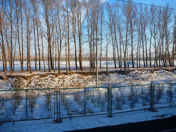 P1010391.JPG P1010391.JPG