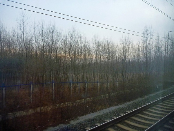 P1010364.JPG P1010364.JPG