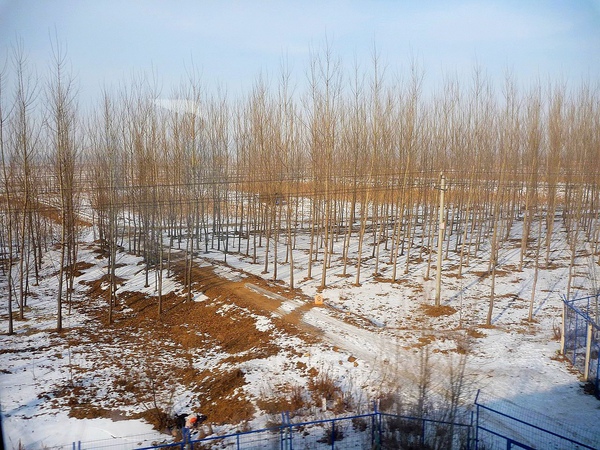 P1010378.JPG P1010378.JPG