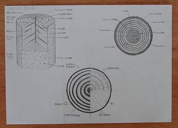 01劉承熹 01劉承熹