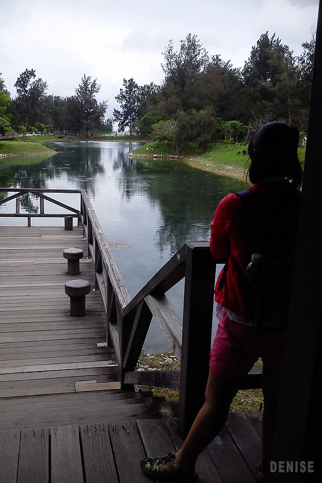 DSC_1174.jpg DSC_1174.jpg