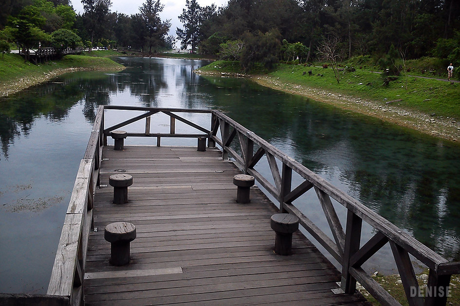 DSC_1175.jpg DSC_1175.jpg