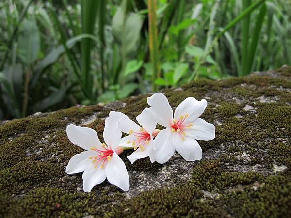 IMG_3469.JPG IMG_3469.JPG