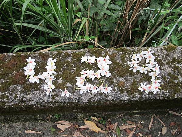 IMG_3472.JPG IMG_3472.JPG