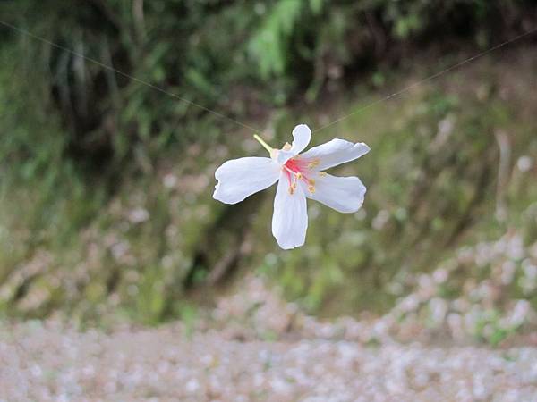 IMG_3486.JPG IMG_3486.JPG