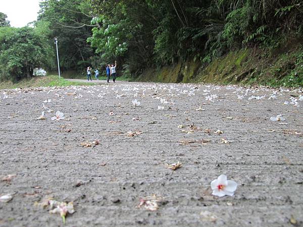 IMG_3497.JPG IMG_3497.JPG