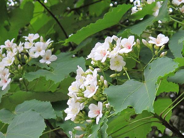 IMG_3506.JPG IMG_3506.JPG