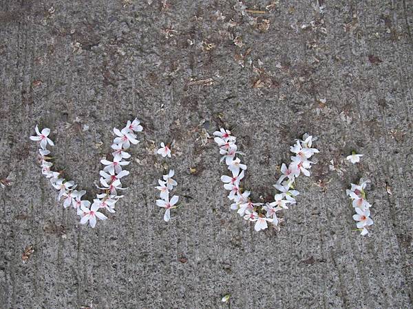 IMG_3521.JPG IMG_3521.JPG