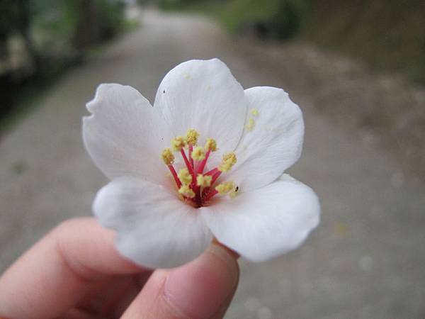 IMG_3524.JPG IMG_3524.JPG