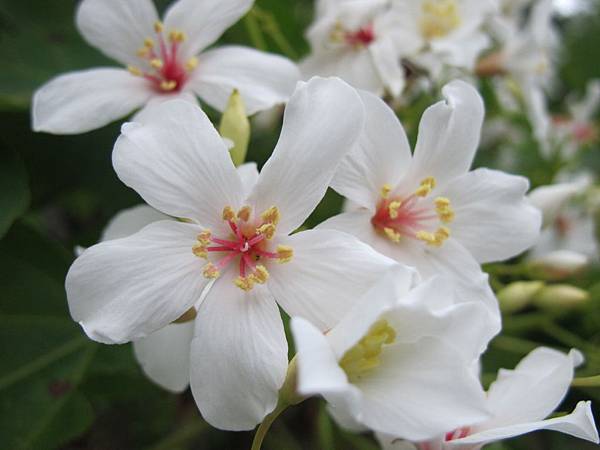 IMG_3535.JPG IMG_3535.JPG