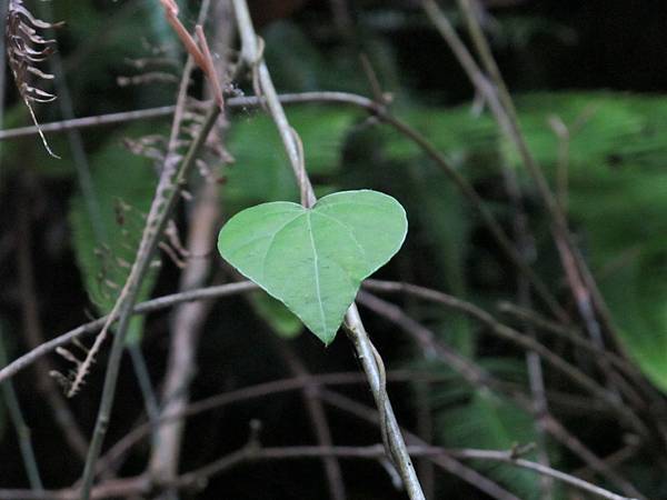 IMG_3549.JPG IMG_3549.JPG