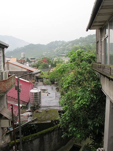 IMG_3554.JPG IMG_3554.JPG