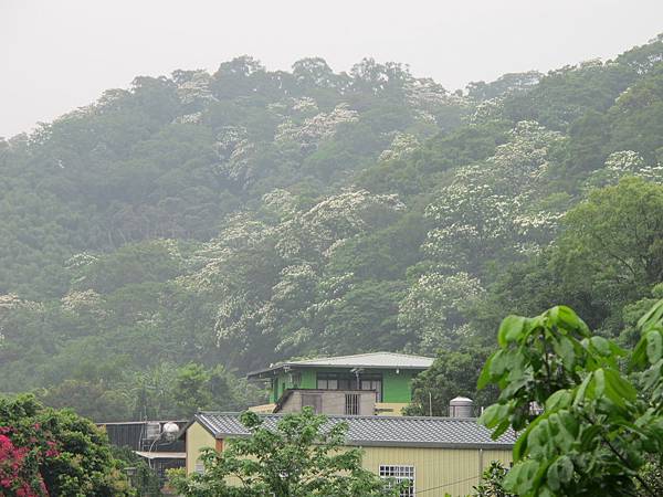 IMG_3556.JPG IMG_3556.JPG