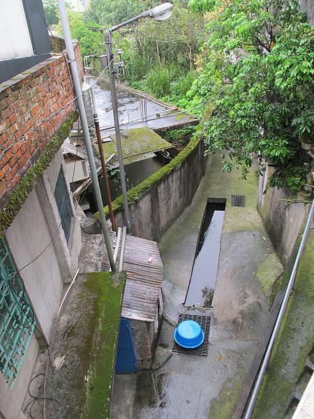 IMG_3559.JPG IMG_3559.JPG