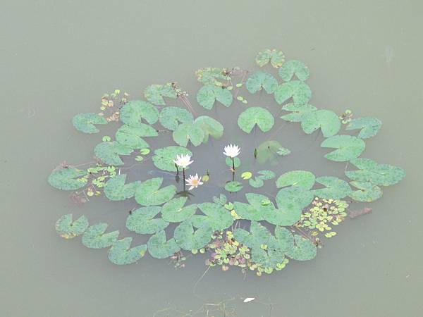 IMG_3589.JPG IMG_3589.JPG