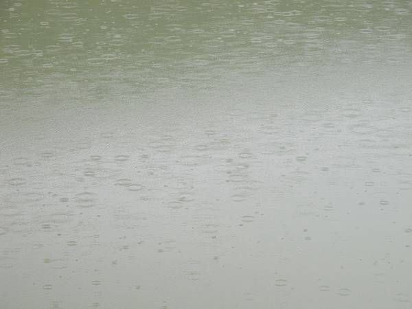 IMG_3591.JPG IMG_3591.JPG