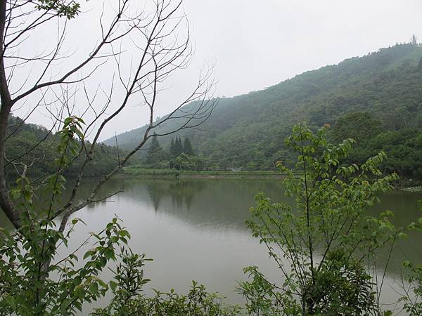 IMG_3645.JPG IMG_3645.JPG