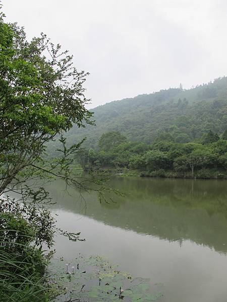 IMG_3653.JPG IMG_3653.JPG