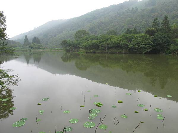 IMG_3656.JPG IMG_3656.JPG