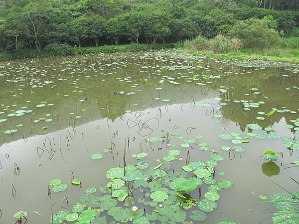 IMG_3657.JPG IMG_3657.JPG