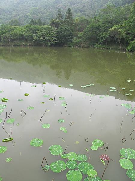 IMG_3658.JPG IMG_3658.JPG