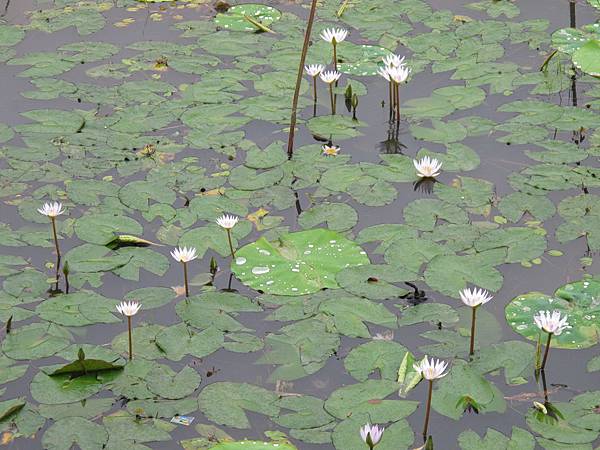 IMG_3679.JPG IMG_3679.JPG