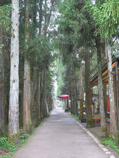 IMG_3686.JPG IMG_3686.JPG