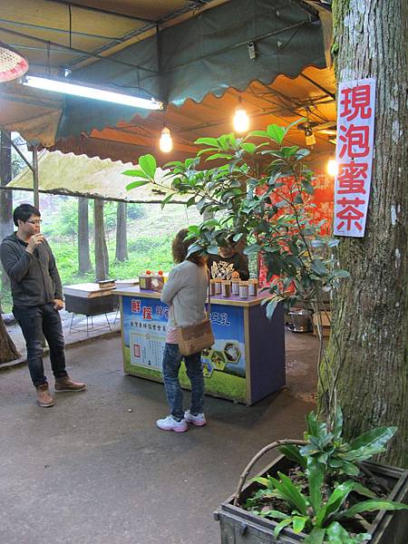 IMG_3702.JPG IMG_3702.JPG