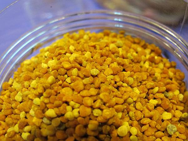 IMG_3714.JPG IMG_3714.JPG