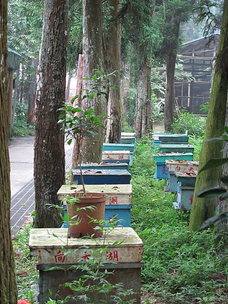 IMG_3715.JPG IMG_3715.JPG