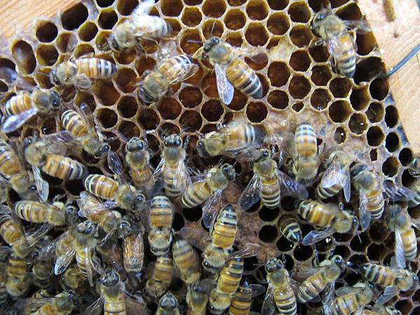 IMG_3716.JPG IMG_3716.JPG