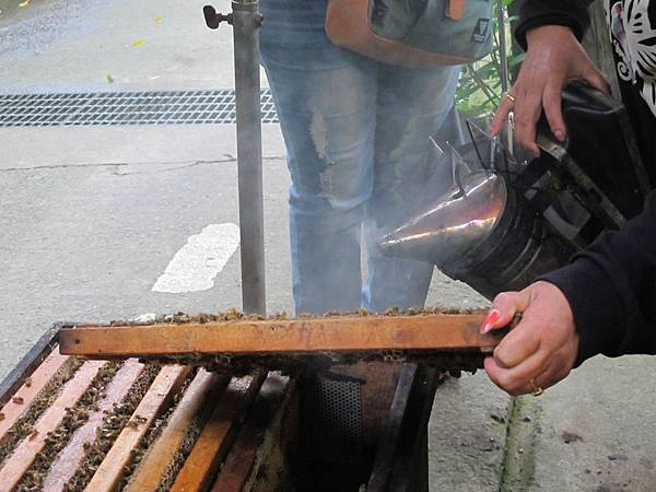 IMG_3717.JPG IMG_3717.JPG