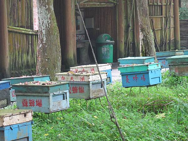 IMG_3731.JPG IMG_3731.JPG