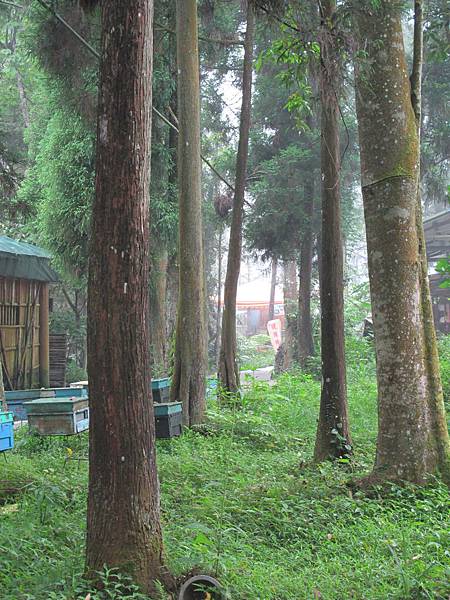 IMG_3732.JPG IMG_3732.JPG