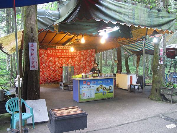 IMG_3737.JPG IMG_3737.JPG