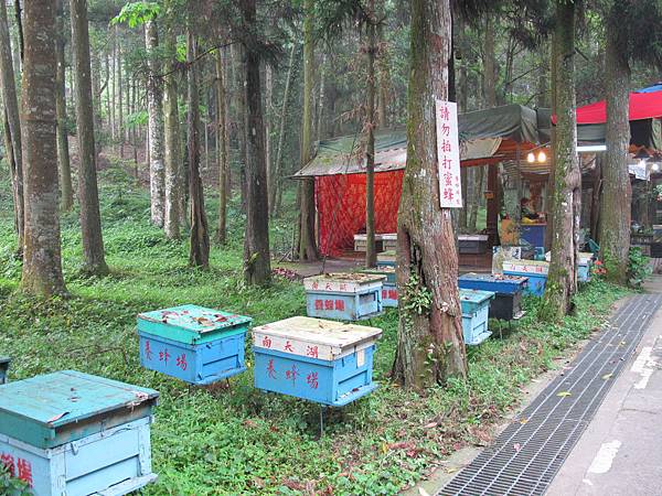 IMG_3738.JPG IMG_3738.JPG