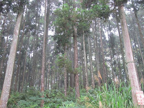 IMG_3749.JPG IMG_3749.JPG