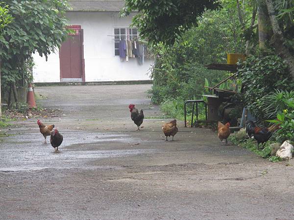 IMG_3753.JPG IMG_3753.JPG