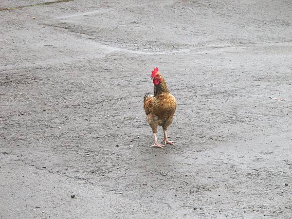 IMG_3756.JPG IMG_3756.JPG