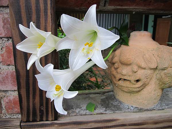 IMG_3811.JPG IMG_3811.JPG