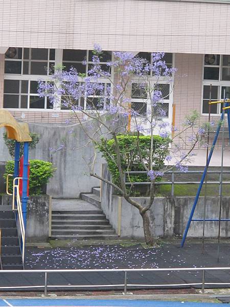 IMG_3813.JPG IMG_3813.JPG