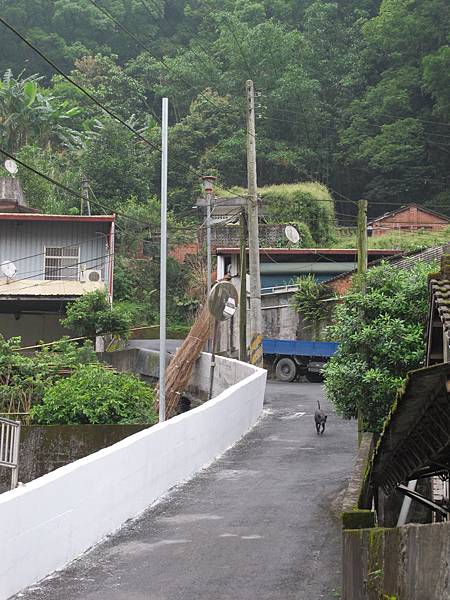 IMG_3816.JPG IMG_3816.JPG