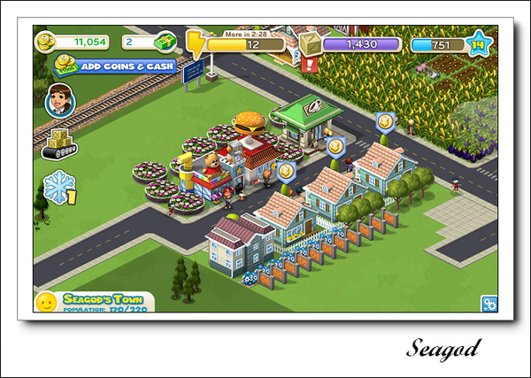CityVille CityVille