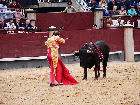 http://zh.wikipedia.org/wiki/File:Del_Mar_Horse_Racing http://zh.wikipedia.org/wiki/File:Del_Mar_Horse_Racing