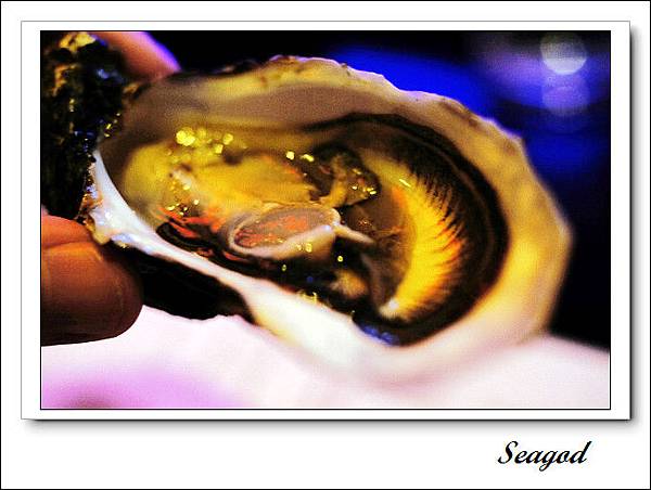 Oyster ICHI Oyster ICHI
