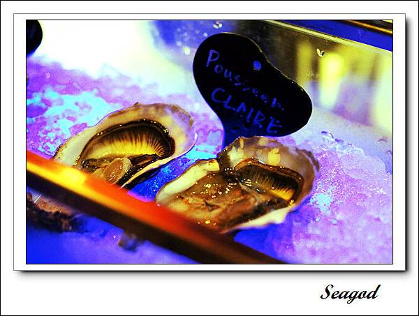 Oyster ICHI Oyster ICHI