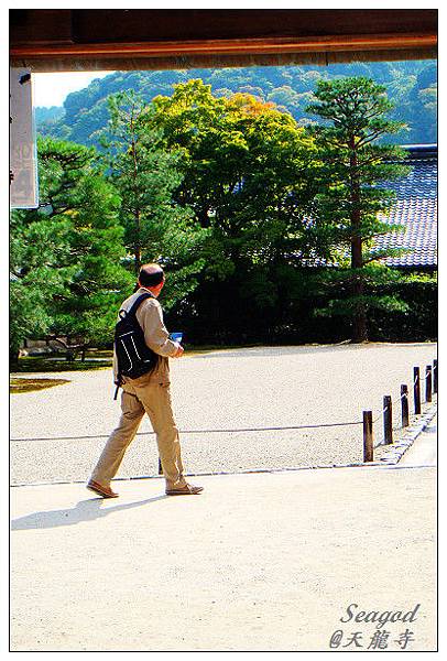 平平淡淡的生活才是人生最大的冒險...